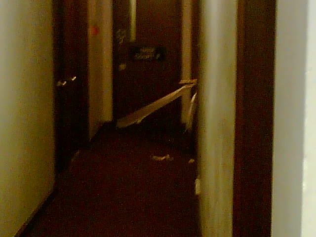 Toilet roll, on somebody's door