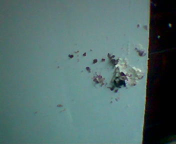 Mess in the coridors of OP